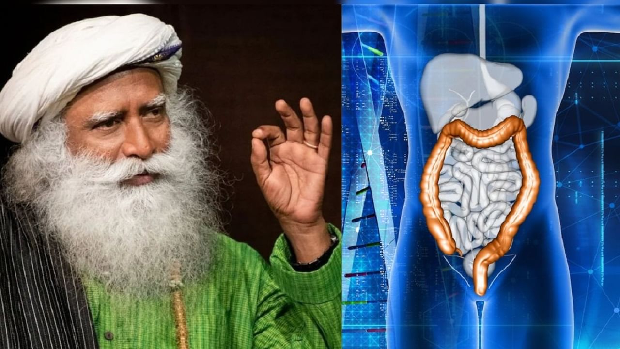आतड्यांमधील घाण कशी काढायची? सद्गुरूंनी सांगितले 3 सर्वात प्रभावी मार्ग