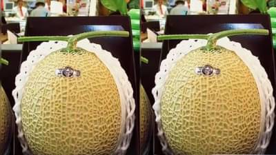 फळांच्या जगातला आयफोन..., एका खरबूजच्या किमतीत चमकदार एसयूव्ही घरी आणाल, असं काय आहे फळात?