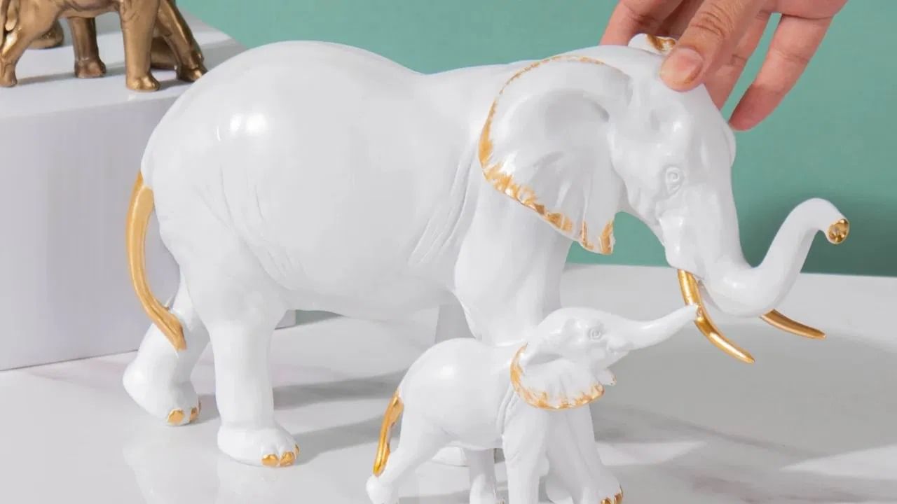 वास्तुमध्ये हत्तीचा रंग देखील महत्त्वाचा मानला जातो. पांढरा रंग शांती आणि सौभाग्याचं प्रतीक आहे, सोनेरी यश आणि प्रतिष्ठेचं प्रतीक आहे, काळा रंग संरक्षणाचं प्रतीक आहे, चांदी समृद्धीचं प्रतीक आहे आणि निळा रंग स्थिरतेचं प्रतीक आहे. (डिस्क्लेमर : वरील माहिती उपलब्ध स्रोतावरून देण्यात आलेली आहे. याच्या तथ्यांबद्दल आम्ही कुठलाही दावा करीत नाही, तसेच अंधश्रद्धेला दुजोरा देत नाही)