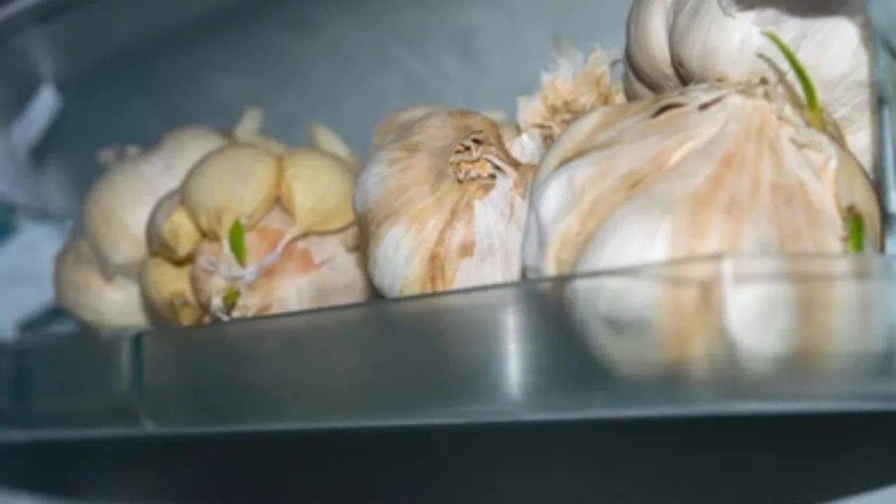  कांदे: रेफ्रिजरेटरमधील आर्द्रता कांद्यासाठी हानिकारक असते. त्यामुळे ते ओले आणि मऊ होतात आणि त्यात बुरशी वाढू शकते. म्हणून नेहमी कांदे चांगल्या हवेशीर ठिकाणी साठवा. तसेच, बटाटे आणि कांदे एकत्र ठेवू नका. कारण बटाटे लवकर खराब होतात.