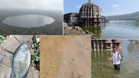 धक्कादायक...लोणार सरोवरात आढळले चक्क मासे.. सरोवराचं अस्तित्व संकटात?.
