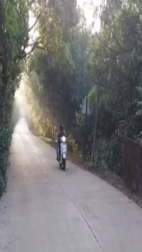 महाबळेश्वरमध्ये थंडी वाढली.