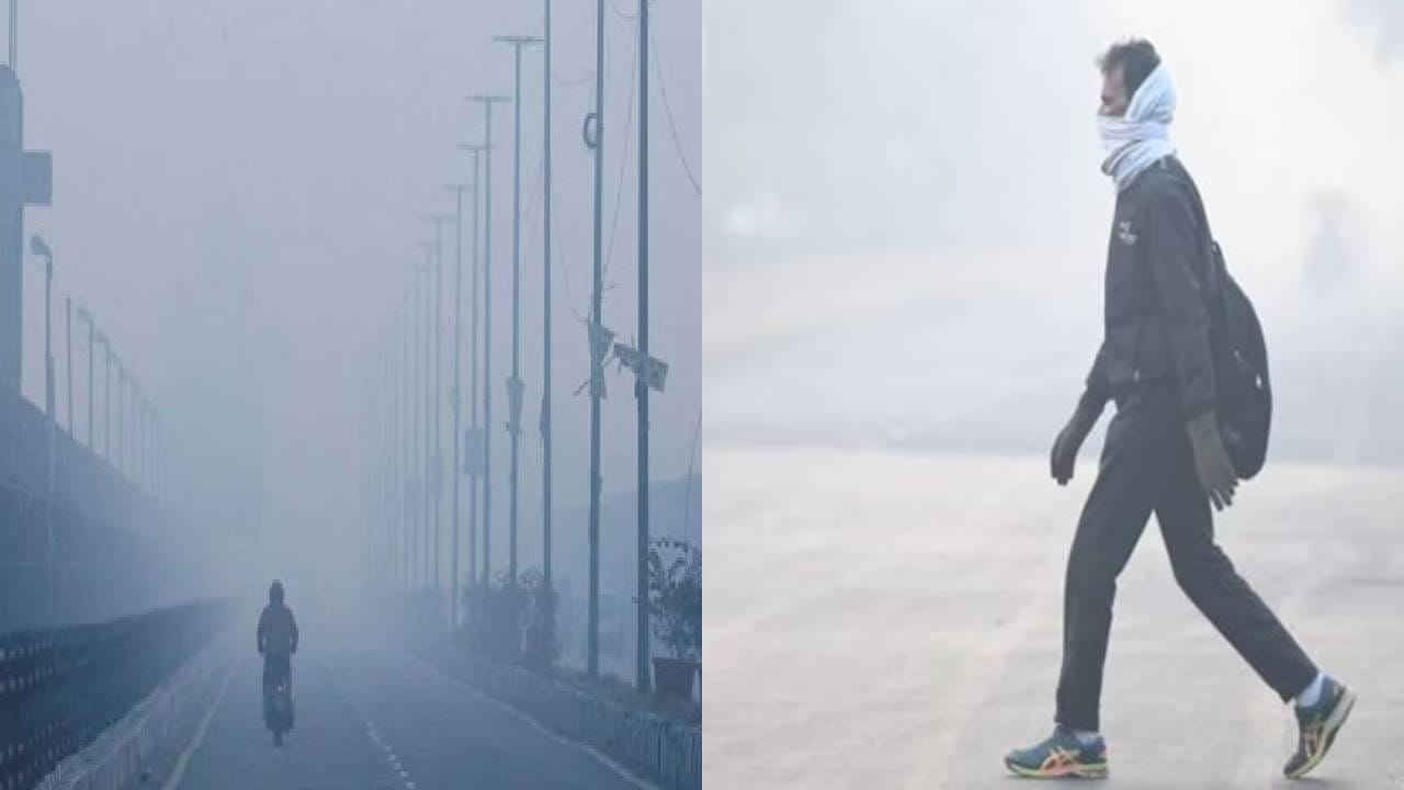 Maharashtra Weather Updates : अखेर ती आलीच.. वीकेंडला मुंबईकर गारठणार, भरणार हुडहुडी,  राज्यात कसं असेल हवामान ?