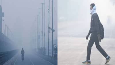 Maharashtra Weather Updates : अखेर ती आलीच.. वीकेंडला मुंबईकर गारठणार, भरणार हुडहुडी,  राज्यात कसं असेल हवामान ?