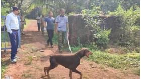 मालवण सावरवाड येथे दोन घरे फोडली; नागरीकांमध्ये घबराट.