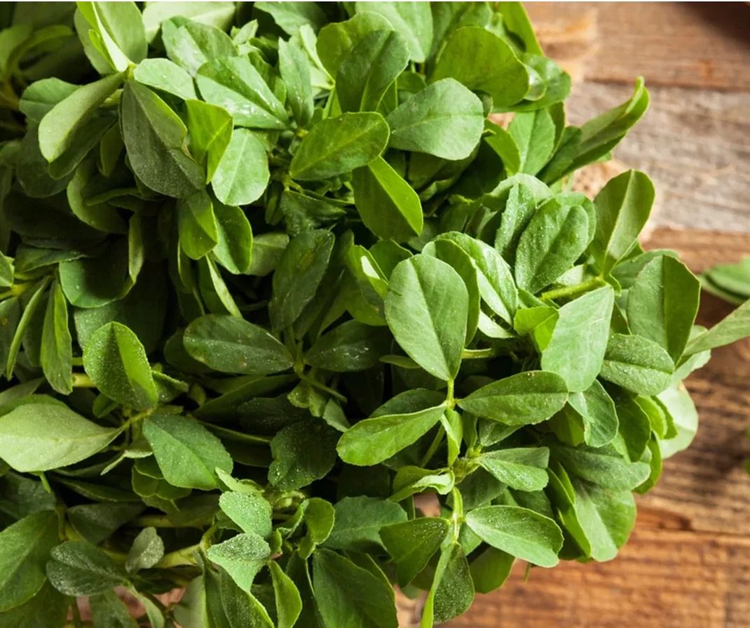 मेथीच्या भाजीतही लोह म्हणजे आयर्न भरपूर असते. याशिवाय या भाजीत फोलेट आणि कॅल्शियम देखील आढळते. व्हिटामिन्स सी असल्याने मेथीची भाजी त्वचेसह इम्युनिटी बूस्ट करण्यासाठी देखील मदत करते. हिवाळ्यात मेथीचे पराठे वा भाजीच्या रुपात मेथी खाणे गरजेचे असते. 