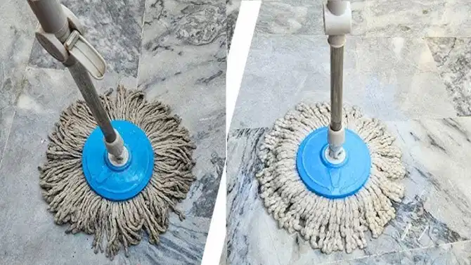 Vastu Tips: फरशी पुसण्याचेही आहेत नियम, या दोन दिवशी महिला करतात सर्वात मोठी चूक
