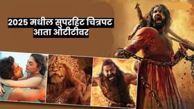 छावा ते सैयारा.. 2025 मधील ब्लॉकबस्टर चित्रपट पहा ओटीटीवर