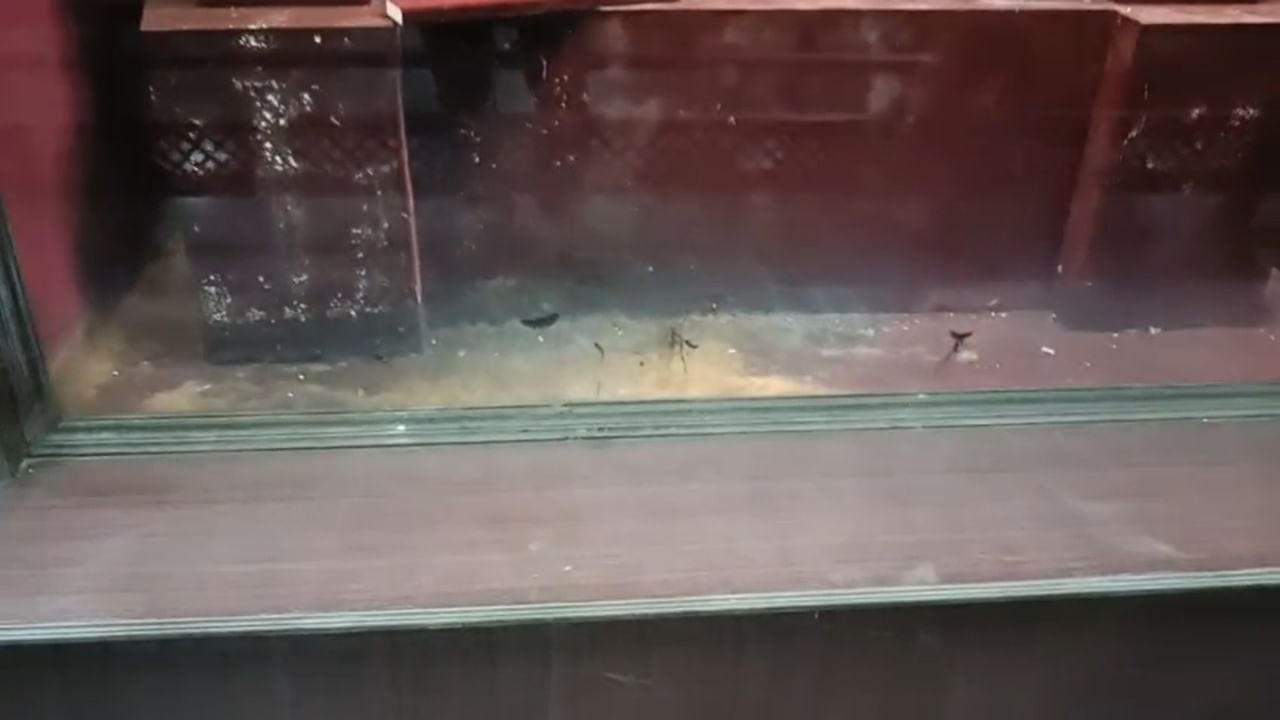 हे संग्रहालय मराठवाड्याच्या गौरवशाली इतिहासाचे आणि संस्कृतीचे मूर्तिमंत प्रतीक आहे. येथे जपून ठेवलेल्या प्राचीन वस्तूंमध्ये मौल्यवान नाणी, अप्रतिम चित्रकला, ऐतिहासिक तोफा, तसेच उत्कृष्ट लाकडी शिल्पकला आणि शस्त्रे यांचा समावेश आहे.