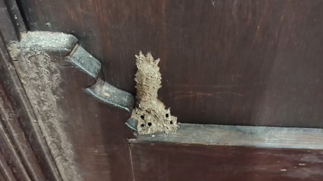 दरवर्षी हजारो शिवप्रेमी आणि पर्यटक या संग्रहालयाला भेट देत आपला ऐतिहासिक वारसा जवळून अनुभवण्यासाठी येत असतात. मात्र, पुढाऱ्यांकडून आणि संबंधित प्रशासनाकडून शिवरायांच्या नावावर राजकारण केल्याचे पाहायला मिळते.