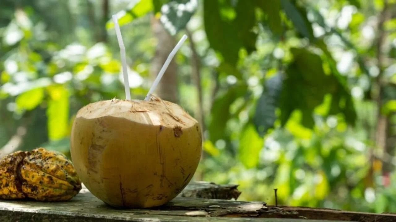 तज्ज्ञ पोषणतज्ञ श्वेता शाह यांनी इंस्टाग्रामवरील एका व्हिडिओमध्ये स्पष्ट केले आहे की कमी रक्तदाब असलेल्या लोकांनी नारळ पाणी पिऊ नये. कारण कमी रक्तदाब असलेल्या लोकांनी नारळ पाणी प्यायले तर ते त्यांचा रक्तदाब आणखी कमी करू शकतो