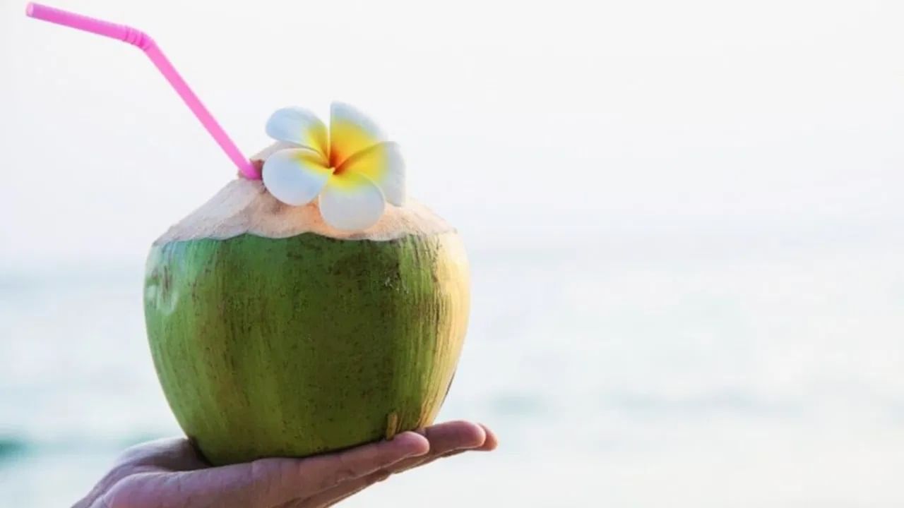 नारळाच्या पाण्यात कॅलरीज, कार्बोहायड्रेट्स, कॅल्शियम, मॅग्नेशियम, फॉस्फरस आणि पोटॅशियम सारखे पोषक घटक असतात... पण, भरपूर पौष्टिक मूल्य असूनही, नारळाचं पाणी कोणी पिणं टाळावं हे जाणून घेऊया.