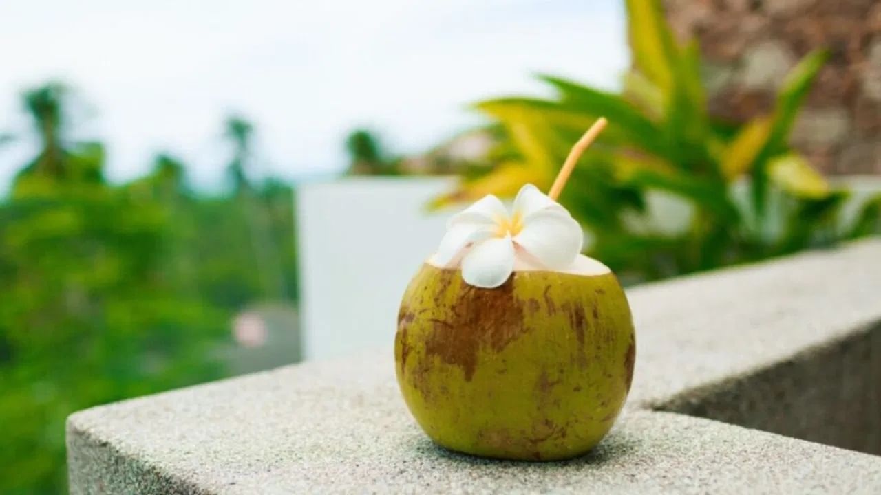 त्यांनी असेही म्हटलं की, पचनाच्या समस्या असलेल्या व्यक्तींनी देखील नारळपाणी पिणं टाळलं पाहिजे. ज्यामुळे यामुळे गॅस आणि बद्धकोष्ठता होऊ शकते. नारळपाणी सर्वांसाठीच योग्य नाही.. 