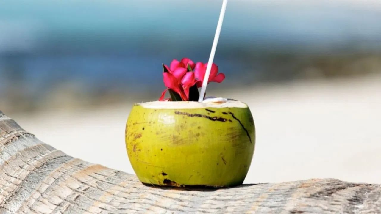 उन्हाळ्यात नारळपाणी पिणं सामान्यतः फायदेशीर मानलं जातं कारण त्यामध्ये थंडावा असतो. पण, सर्दी आणि फ्लूचा त्रास असलेल्यांनी नारळ पाणी पिणं टाळावं. मधुमेह असलेल्या व्यक्तींनी देखील आठवड्यातून एकदाच ते प्यावं.