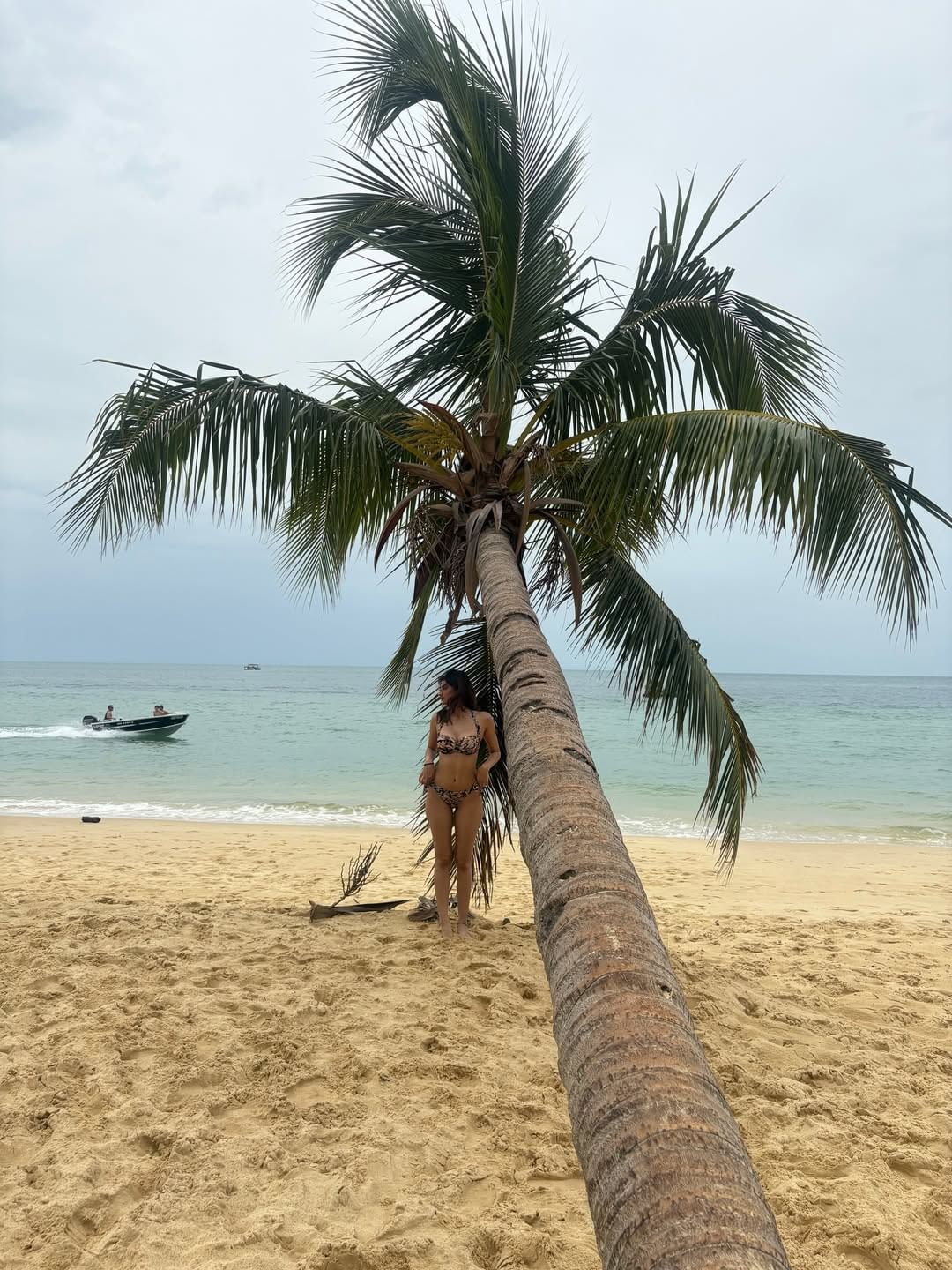 यामध्ये प्रसिद्ध अभिनेत्री श्वेता तिवारी हिची मुलगी पलक तिवारीचे नाव प्रामुख्याने घेतले जाते. पलक तिवारी आणि आर्यन खान अनेकदा एकत्र दिसलेले आहेत. विशेष म्हणज अनेक कार्यक्रमांत त्यांनी एकत्र हजेरी लावलेली आहे. 