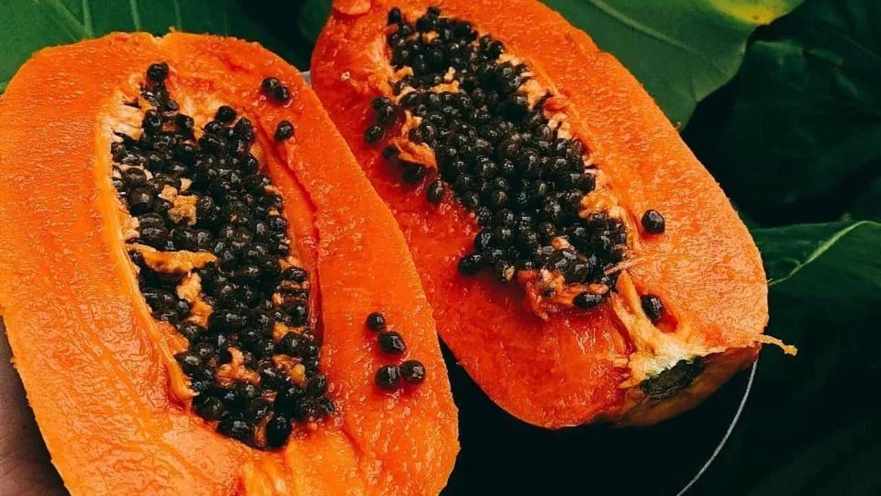 पपई त्वचेसाठी फायदेशीर असते. पपई चेहऱ्याला लावल्याने अनेक समस्या दूर होऊ शकतात. जर तुम्हाला त्वचेचे काही आजार असतील तर तुम्ही पपईचा वापर करू शकता. 