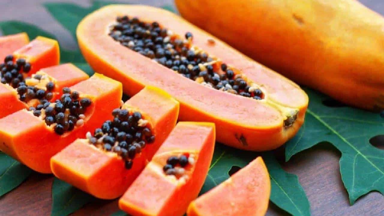 निरोगी आरोग्यासाठी पपई खाणे अत्यंत फायदेशीर आहे. हिवाळ्यात मार्केटमध्ये ताज्या आणि छान पपई येतात. पपईमध्ये अनेक पोषक घटक असतात. मात्र. काही लोकांनी अजिबातच पपई खाऊ नये.