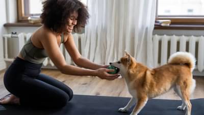 हिवाळ्यात तुमच्या पाळीव प्राण्याची कशी घ्याल काळजी? फक्त या टीप्स करा फॉलो