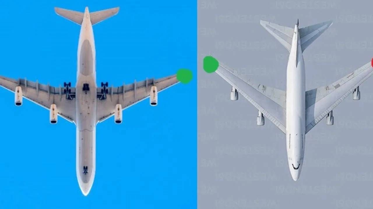 विमानांमध्ये सहसा पांढऱ्या रंगाचे स्ट्रोब दिवे वापरले जातात. हे दिवे वेळोवेळी चमकतात, ज्यामुळे ते गडद आकाशात सहज दिसतात. विमान अमेरिकन असो, भारतीय असो किंवा ऑस्ट्रेलियन असो, सर्व विमानांसाठी लायटिंगचे नियम सारखेच असतात. या दिव्यांमुळे टक्कर टळते, नेव्हिगेशनमध्ये मदत करतात आणि ग्राउंड स्टाफला सतर्क करतात.