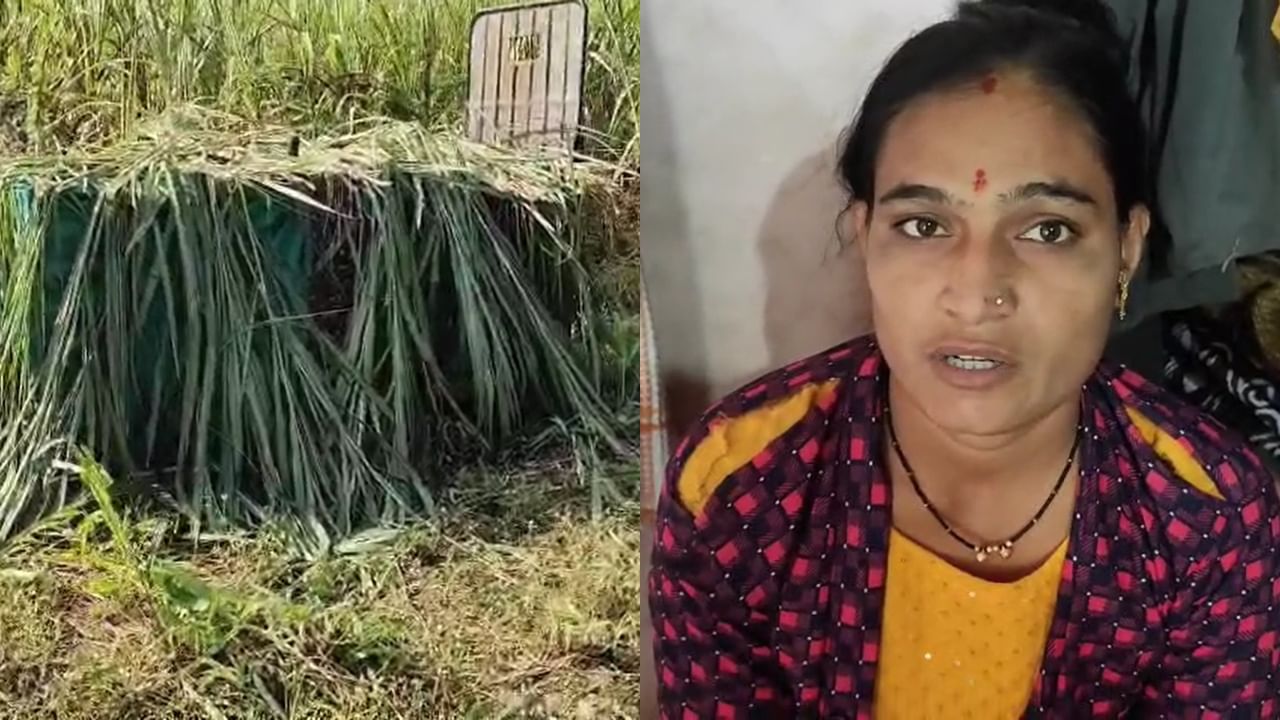 स्वेटरमुळे मिळालं जीवनदान, दबा धरून बसलेल्या बिबट्याचा हल्ल्यातून कशी वाचली महिला?