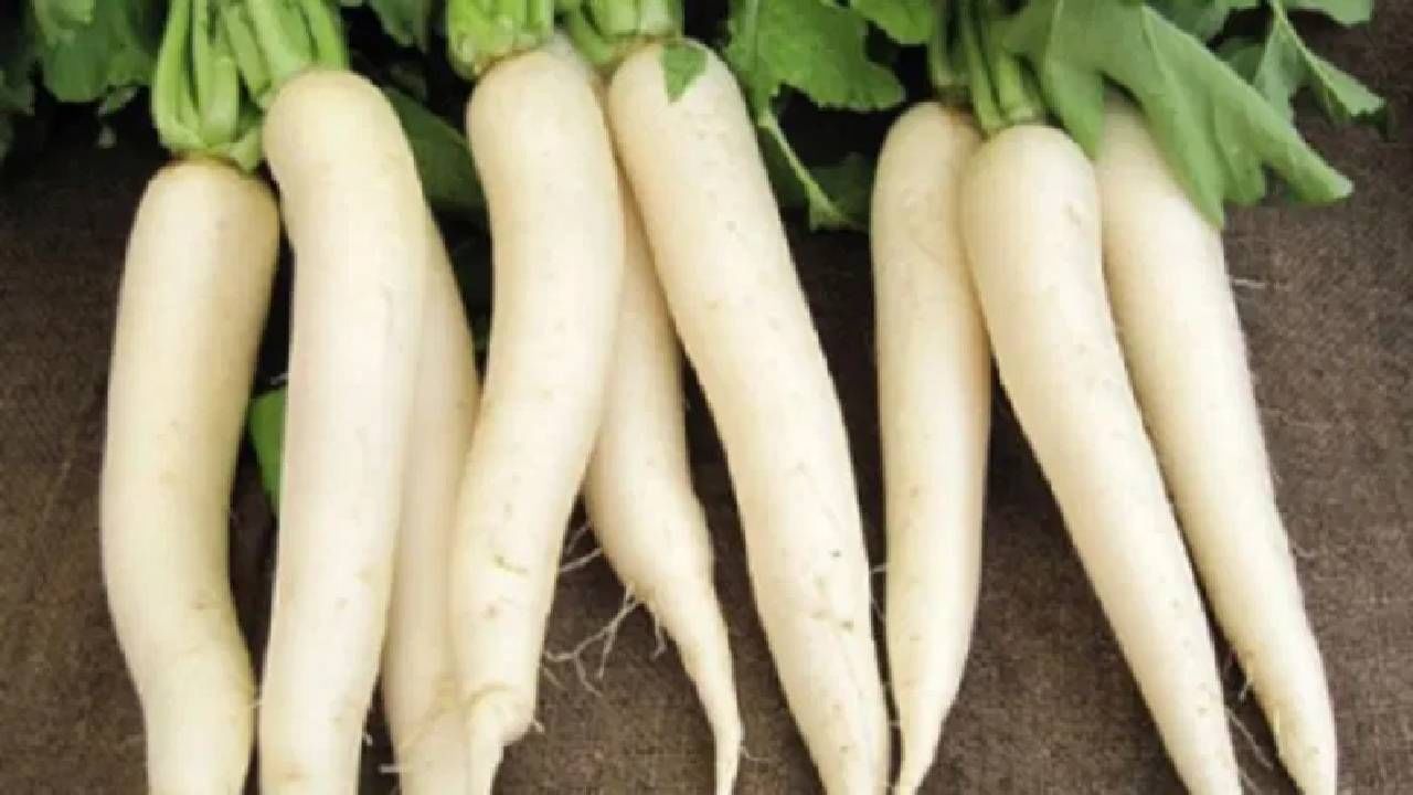 मुळ्याच्या सेवनामुळे बद्धकोष्ठता दूर होते अनेक अँटीऑक्सिडंट्स त्यामध्ये असतात. नाश्त्यामध्ये तुम्ही मुळ्याच्या पराठ्यांचा समावेश करू शकता. 