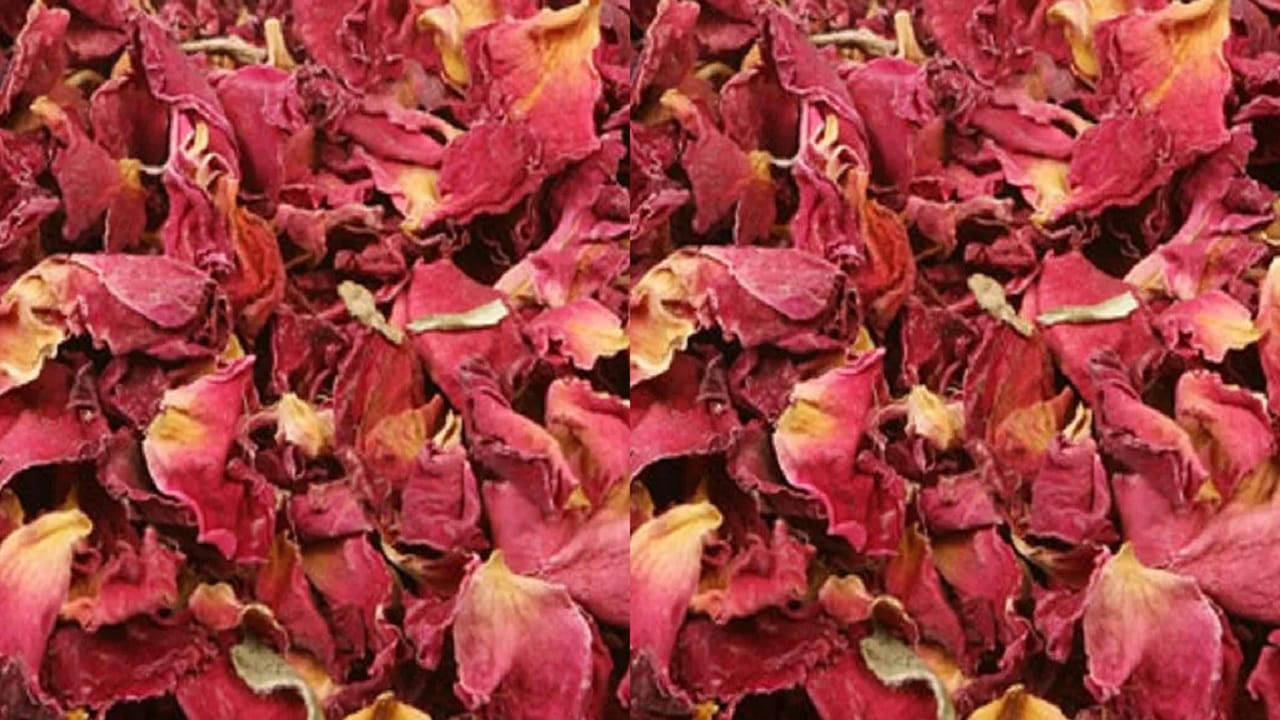गुलाबाच्या पाकळ्या तोंड स्वच्छ ठेवतात आणि ताजेपणा देतात. गुलाबाच्या पाकळ्यांचा चहा (Rose Tea) चयापचय सुधारतो. गुलाबाच्या पाकळ्यामध्ये अँटिऑक्सिडंट आणि अँटी-इन्फ्लेमेटरी गुणधर्म असतात, ज्यामुळे सूज कमी करण्यास मदत होते...
