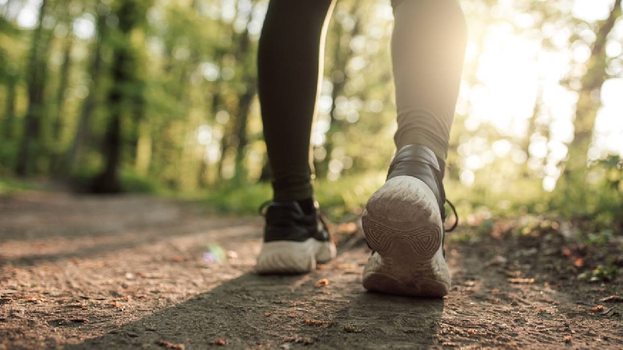 चला आज जाणून घेऊयात वजन धावल्याने की चालल्याने कमी होते. तज्ञांच्या मते, चालणे हा कमी प्रभावाचा व्यायाम आहे जो सर्व वयोगटातील लोकांसाठी सुरक्षित मानला जातो, जो सर्वजण आरामात करू शकतात.