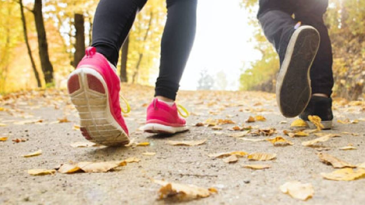 हिवाळ्याला सुरूवात झाली असून अनेकजण हिवाळ्यात व्यायाम करण्यावर भर देतात. मात्र, नेहमीच सर्वांना प्रश्न पडतो की, वजन कमी करण्यासाठी धावावे की, चालावे? ज्यामुळे वजन जलद गतीने कमी होईल. 