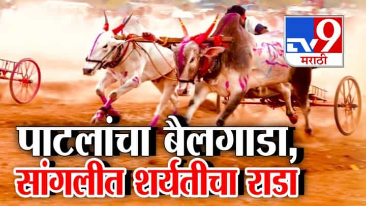 Sangli : पाटलांचा बैलगाडा अन् सांगलीत राडा, लाखोंचा सहभाग करोडोंच्या बक्षीसांसह रंगला थरार..फॉर्च्युनर, थार अन् 150 बाईक्स Sangli : पाटलांचा बैलगाडा अन् सांगलीत राडा, लाखोंचा सहभाग करोडोंच्या बक्षीसांसह रंगला थरार..फॉर्च्युनर, थार अन् 150 बाईक्स