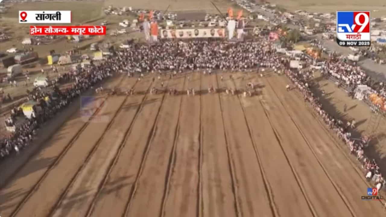५०० एकरांचं मैदान अन् ५ लाख बैलगाडा प्रेमी! श्रीनाथ केसरी बैलगाडी शर्यतीचा थरार रंगला