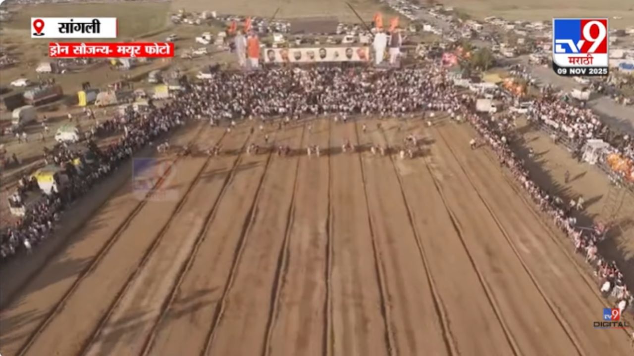 ५०० एकरांचं मैदान अन् ५ लाख बैलगाडा प्रेमी! श्रीनाथ केसरी बैलगाडी शर्यतीचा थरार रंगला