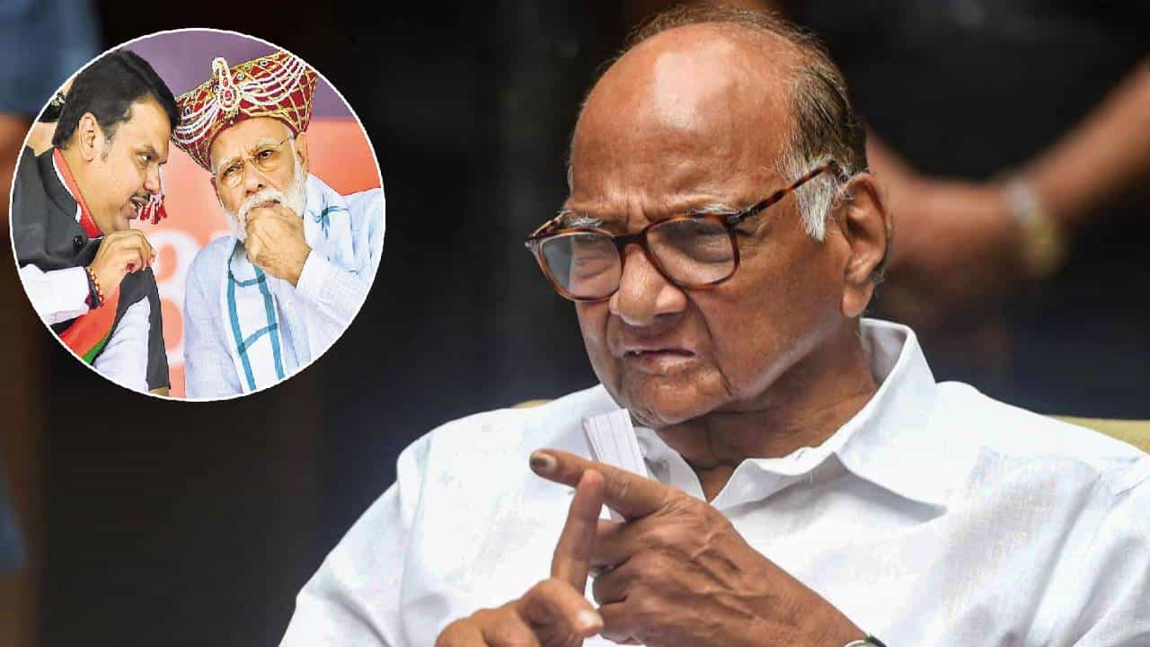 Sharad Pawar : कोणत्या पक्षासोबत युती? आघाडी संदर्भातील प्रश्नावर पवारांनी थेट म्हटलं...भाजपचा उल्लेख करत मोठं वक्तव्य