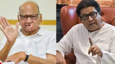 मनसेसोबत युती करणार का? शरद पवारांनी एका वाक्यात विषय संपवला, नेमकं काय म्हणाले?