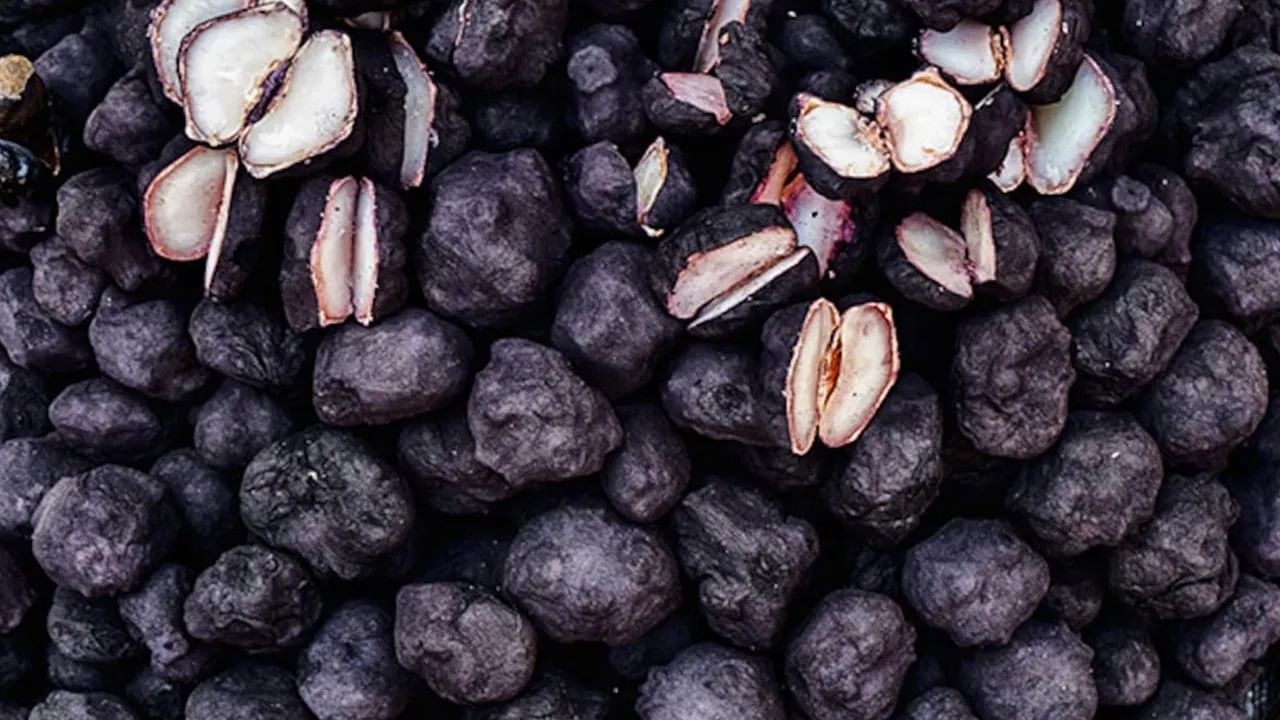 Water Chestnuts : 'या' 3 समस्या असलेल्या लोकांनी चुकूनही शिंगाड्याचं सेवन करु नका, कारण... Water Chestnuts : 'या' 3 समस्या असलेल्या लोकांनी चुकूनही शिंगाड्याचं सेवन करु नका, कारण...