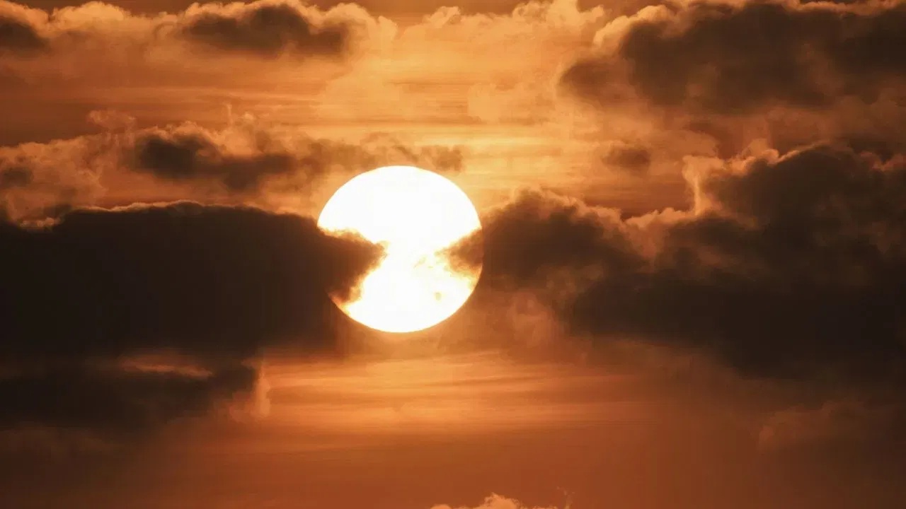 घरच्यांसोबत सतत भांडताय का? रविवारचा 'हा' उपाय एकदा करून पहा