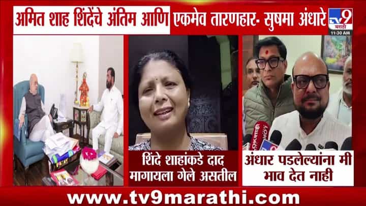 अमित शाह शिंदेंचे एकमेव तारणहार! सुषमा अंधारेंची खोचक टीका अमित शाह शिंदेंचे एकमेव तारणहार! सुषमा अंधारेंची खोचक टीका