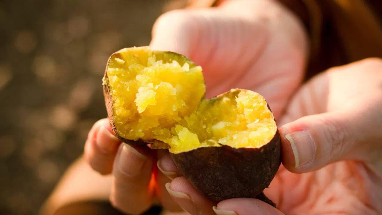 हिवाळ्यात निरोगी राहण्यासाठी सर्वात महत्वाचे रताळे आहे. रताळे खाणे आरोग्यासाठी अत्यंत फायदेशीर ठरतात. दररोज त्याचा समावेश करा. 