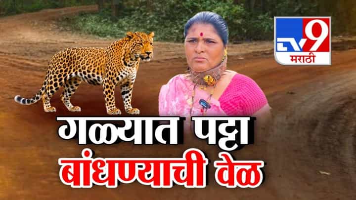 Leopard Attack : स्वतःचा जीव वाचवा म्हणून गळ्याला खिळ्यांचा पट्टा, शिरूरमध्ये बिबट्यांची भलतीच दहशत! गेल्या काही दिवसात 12 मृत्यू Leopard Attack : स्वतःचा जीव वाचवा म्हणून गळ्याला खिळ्यांचा पट्टा, शिरूरमध्ये बिबट्यांची भलतीच दहशत! गेल्या काही दिवसात 12 मृत्यू