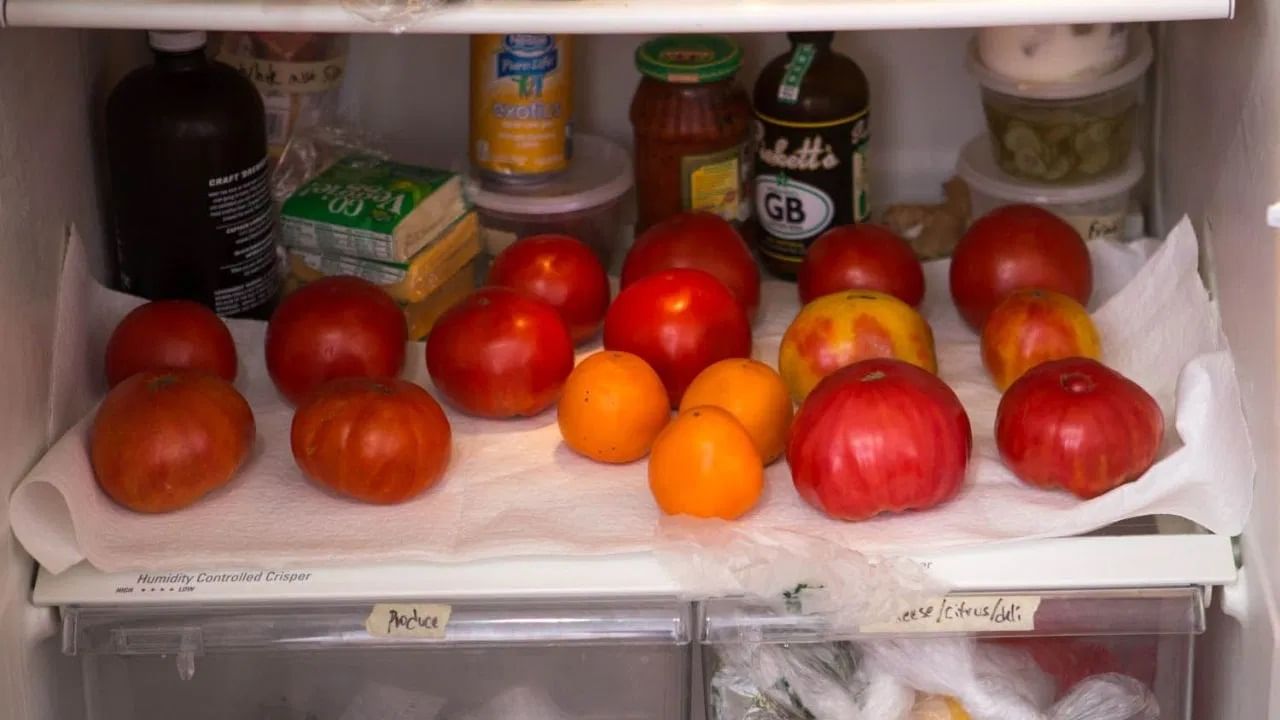 किडनी स्टोनचा धोका असलेल्यांनी देखील टोमॅटोच्या खाऊ नये.  टोमॅटोच्या बियांमध्ये ऑक्सलेट्स असतात ज्यामुळे किडनी स्टोन होण्याची शक्यता वाढवू शकतात.