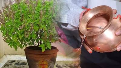 उत्पन्ना एकादशीच्या दिवशी असं करा तुळशीचं पूजन; घरात राहील सुख, शांती
