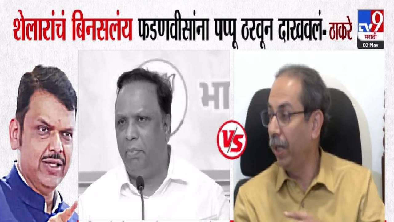 Uddhav Thackeray : शेलारांनी फडणवीसांना पप्पू ठरवलं, त्यांचं बिनसलंय...उद्धव ठाकरेंचा हल्लाबोल
