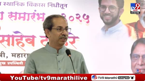 जे दिवटे निघाले त्यांना मशालीच…; उद्धव ठाकरेंची खरमरीत टीका