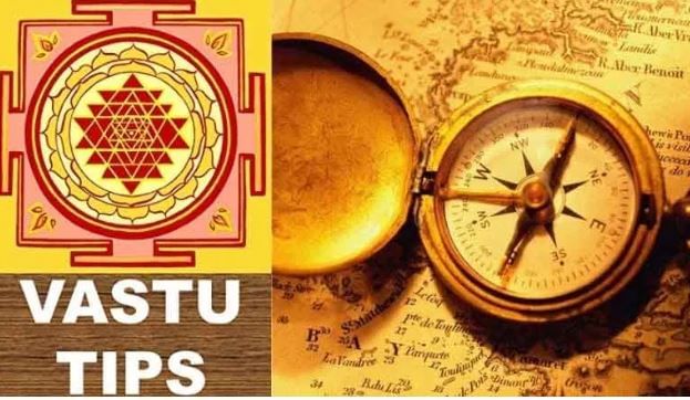 वास्तूशास्त्राच्या नियमानुसार तुमच्या घरात तुळशीचे झाड असायलाच हवे. तुळशीच्या झाडामुळे घरात सकारात्मकता राहते. तुळशीच्या झाडाला पूर्वी किंवा उत्तर दिशेत ठेवावे. यामुळे घरातील नकारात्मक उर्जा नाहीशी होते. 