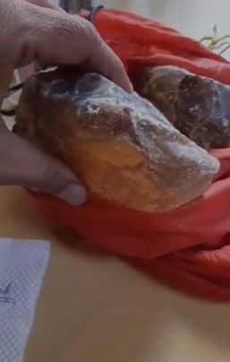 बीड : व्हेल माशाची दीड कोटी रुपयांची उलटी जप्त, दोघांना झाली अटक