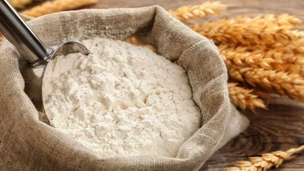 साठवलेल्या गव्हाच्या पिठाला किड लागू नये म्हणून फॉलो करा 'या' सोप्या किचन टिप्स साठवलेल्या गव्हाच्या पिठाला किड लागू नये म्हणून फॉलो करा 'या' सोप्या किचन टिप्स