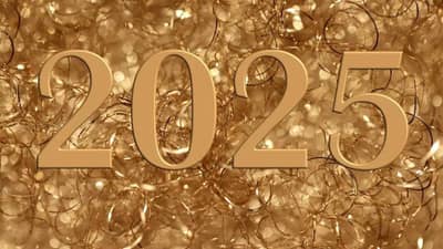 2025 हे वर्ष या सेलिब्रिटींसाठी ठरले दुर्देवी, काहींच्या नात्यामध्ये गेला तडा