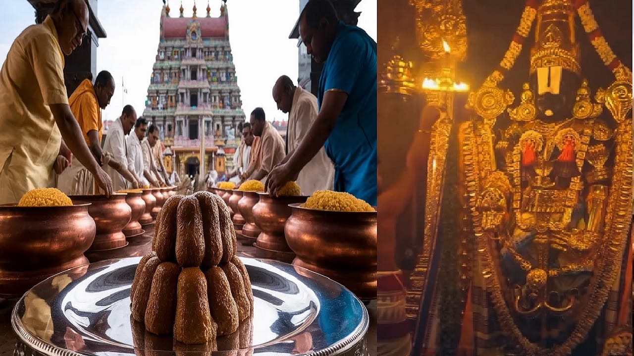 केस अर्पण करण्यापासून ते दही भाताच्या प्रसादापर्यंत... तिरुपती बालाजी मंदिराबद्दलची ही रहस्य माहितीयेत? केस अर्पण करण्यापासून ते दही भाताच्या प्रसादापर्यंत... तिरुपती बालाजी मंदिराबद्दलची ही रहस्य माहितीयेत?