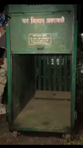 बिबट्याच्या भीतीमुळे शेतीची कामे ठप्प!