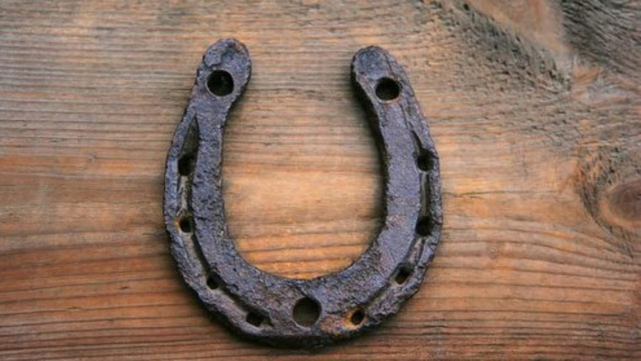 घराच्या दारावर घोड्याची नाल लावल्यास 'या' नियमांचे पालन करणे गरजेचे... घराच्या दारावर घोड्याची नाल लावल्यास 'या' नियमांचे पालन करणे गरजेचे...