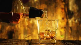 बेवड्यांचा दारूपेक्षा चकण्यावरच ताव, तब्बल इतक्या कोटीचा बिझनेस